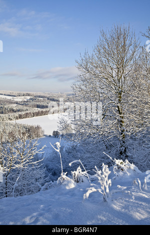 Snowy cropton Wald North York Moors National Park Stockfoto