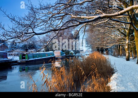 RIVER WEY Schnee Winter Morgendämmerung Sonnenaufgang über Schilf zum Fluss Wey Leinpfad mit typischen traditionellen schmalen Boote bis in den letzten Schneefall Surrey UK Stockfoto