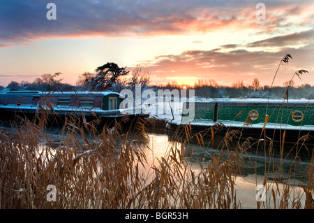 Winter-Sonnenaufgang über dem Schilf, dem Fluss Wey mit typisch traditionelle schmale Boote vertäut unter einem Schneefall Surrey UK Stockfoto