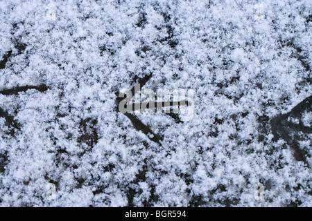 Teichhuhn (Gallinula Chloropus). Fußabdrücke geht recht kürzlich gefallene Schnee auf zugefrorenen Teich. Stockfoto