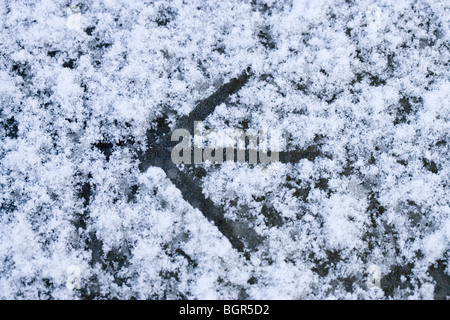 Teichhuhn (Gallinula Chloropus). Präsenz in letzter Zeit gefallen Schnee auf der Oberfläche von einem zugefrorenen Teich. Stockfoto