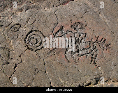 Schnitzwerks Petroglyph Rock von einem spanischen Cowboy (Paniolo) auf der Big Island von Hawaii Stockfoto