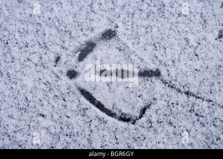 Höckerschwan (Cygnus Olor). Fußspuren in einem leichten Rückgang von Schnee. Stockfoto