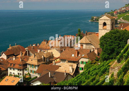 Blick auf Saint-Saphorin am See Leman, UNESCO-Welterbe Lavaux, Waadt, Schweiz Stockfoto