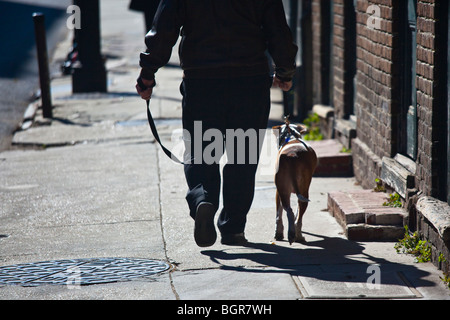 Mann geht seinen Hund in der Französisch Quarter von New Orleans LA Stockfoto