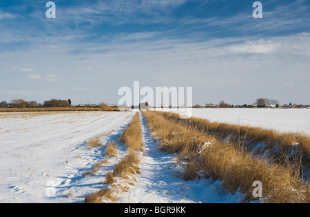 Landwirtschaftliche Flächen am Rande des Fenlands, nahe dem Dorf Auge, Peterborough, Cambridgeshire Stockfoto