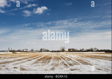 Landwirtschaftliche Flächen am Rande des Fenlands, nahe dem Dorf Auge, Peterborough, Cambridgeshire Stockfoto