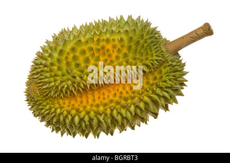 Einzelne ganze Durian isoliert auf weißem Hintergrund Stockfoto