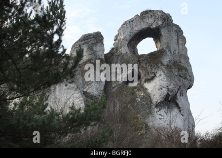 Kalksteinfelsen und Klippen in polnischen Jura Kette, Polen. Stockfoto