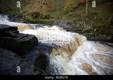 Stainforth Force Wasserfall auf dem Fluss Ribble Stainforth Ribblesdale, Yorkshire Dales, UK Stockfoto