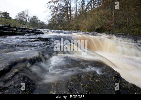 Stainforth Force Wasserfall auf dem Fluss Ribble Stainforth Ribblesdale, Yorkshire Dales, UK Stockfoto