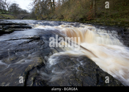 Stainforth Force Wasserfall auf dem Fluss Ribble Stainforth Ribblesdale, Yorkshire Dales, UK Stockfoto