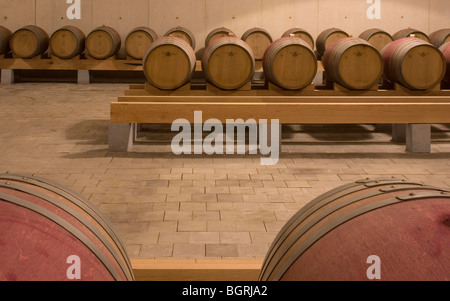 WEINGUT BÜRGERMEISTER, CAMPO MAIOR, PORTUGAL, ALVARO SIZA Stockfoto