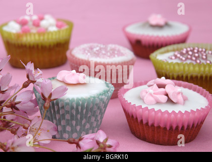 Nahaufnahme von sechs ziemlich dekorierten Cupcakes auf einem rosa Hintergrund mit Kirschblüten im Vordergrund. Stockfoto