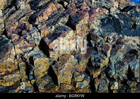 Rauhe Granit detail, Maine, USA Stockfoto