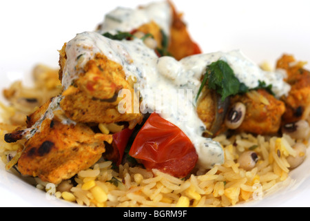 Frische Nord-Indische Kebabs Achari Chicken Curry mit Reis Pilaw und Gurke Raita mit keine Personen vor einem schwarzen Hintergrund Stockfoto