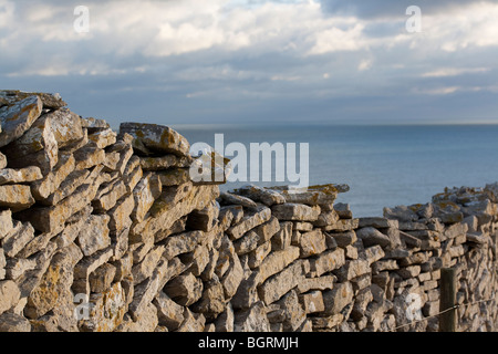 Trockenmauer am Meer auf der Isle of Purbeck, Dorset, Großbritannien Stockfoto