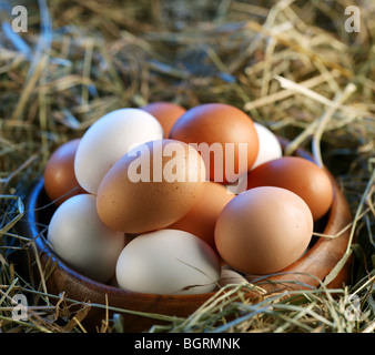 Hühnereier im Stroh im Morgenlicht. Stockfoto