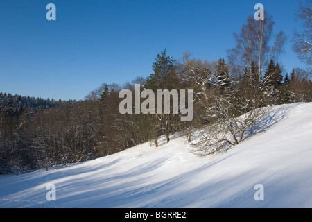 Winterliche Landschaft im Gauja-Nationalpark in der Nähe Gudu Klippen in Vidzeme Lettland Stockfoto