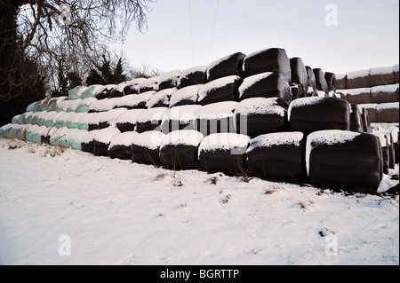 Schnee liegt auf Stroh von Heuballen in Hof. Stockfoto