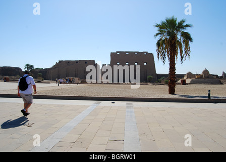 Karnak Tempel Luxor Ägypten Nr. 2825 Stockfoto