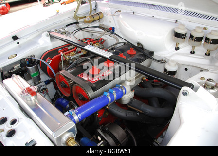 Cosworth BDA Twin Cam Motor Ford Escort RS2000 Mk II 2009 Paradigit-ELE-Rallye, Niederlande Stockfoto