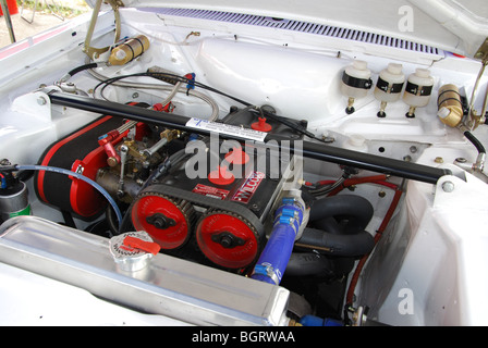 Cosworth BDA Twin Cam Motor Ford Escort RS2000 Mk II 2009 Paradigit-ELE-Rallye, Niederlande Stockfoto