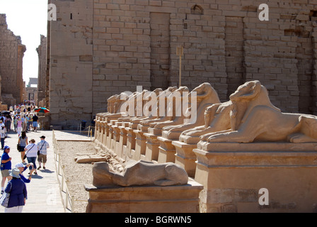 Karnak Tempel Luxor Ägypten Anzahl Stockfoto