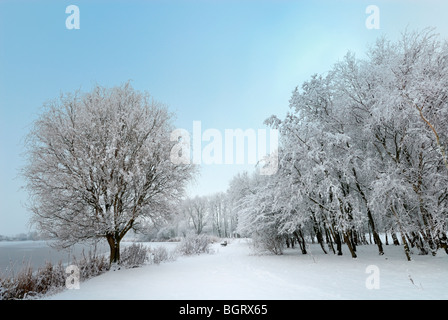 Schöne Winterlandschaft in den Niederlanden (Spaarnwoude Haarlem) Stockfoto