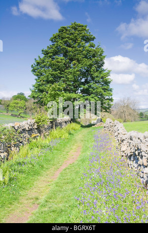 Pennine Way Langstrecken Fußweg oberen Teesdale Stockfoto