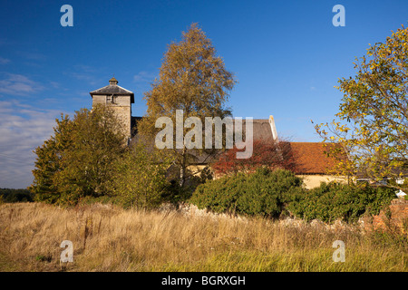 Kirche von St. Peter im große Livermere, Suffolk, UK Stockfoto