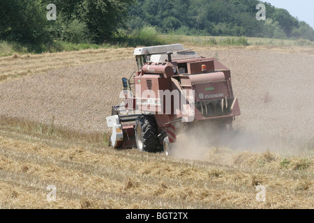 Mähdrescher auf einem Feld im Sommer, Heilbronn, Deutschland Stockfoto