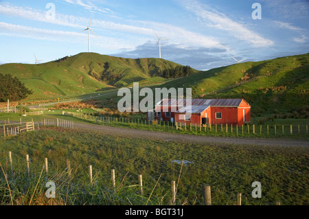 Bauernhof Schuppen und Te Apiti Windpark, Ruahine Ranges, Manawatu, Nordinsel, Neuseeland Stockfoto