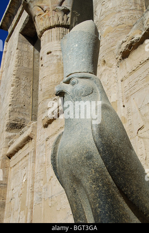 EDFU, ÄGYPTEN. Eine Granitstatue des Horus in den Court angeboten am Tempel des Horus mit der Säulenhalle hinter. Stockfoto