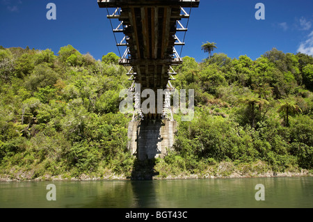 Waioeka Gorge, Bay of Plenty, historische Tauranga Brücke und Waioeka River, North Island, Neuseeland Stockfoto