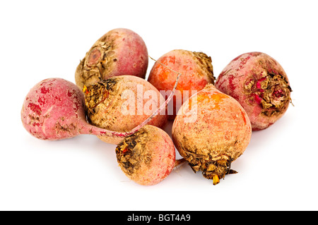 Nahaufnahme von ganz rot und goldene Rüben isoliert auf weiss Stockfoto