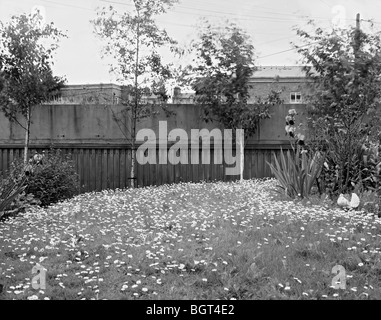 JOHN DILLON STREET, DUBLIN, IRLAND, DE PAOR ARCHITEKTEN Stockfoto