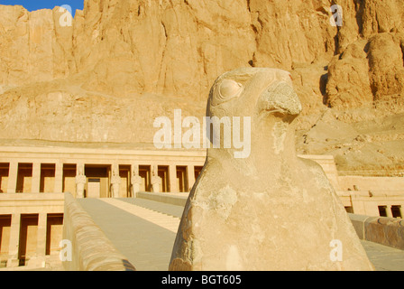 LUXOR, ÄGYPTEN. Falken-Statue auf der mittleren Terrasse von der Leichenhalle Tempel der Königin Hatshepsut (Deir el-Bahri). Stockfoto