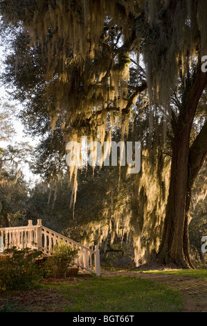Sophia Jane Adams House c1893 White Springs Florida entlang dem Suwannee River Stockfoto