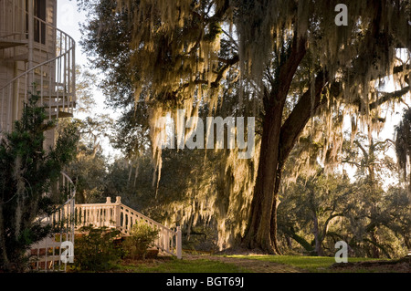 Sophia Jane Adams House c1893 White Springs Florida entlang dem Suwannee River Stockfoto