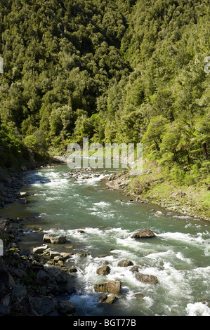 Stromschnellen, Waioeka Fluss Waioeka Gorge, Bay of Plenty, Nordinsel, Neuseeland Stockfoto