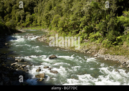 Stromschnellen, Waioeka Fluss Waioeka Gorge, Bay of Plenty, Nordinsel, Neuseeland Stockfoto