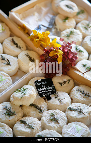 Ziegenkäse auf einem Markt in Ort Richelme in Vieil Aix der Altstadt von Aix-En-Provence, Bouches du Rhone, Provence, Frankreich. Stockfoto