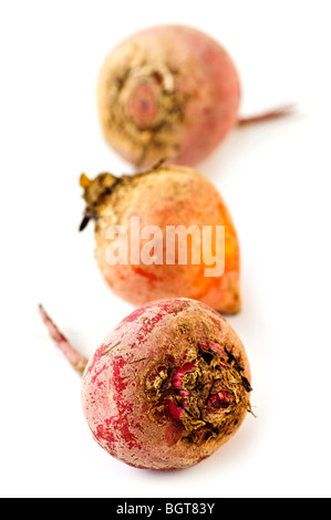 Nahaufnahme von drei ganz rot und golden Rüben, isoliert auf weiss Stockfoto