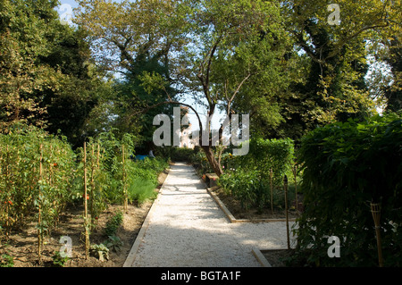 Paradise Gardens, Arsenale, Venedig Biennale 2008. Anreicherung-Raum Stockfoto