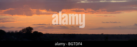 Shimuwini Bushveld Camp, Krüger Nationalpark, Südafrika Stockfoto