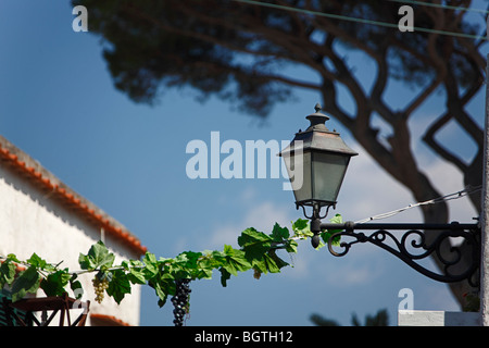 Capri Stockfoto