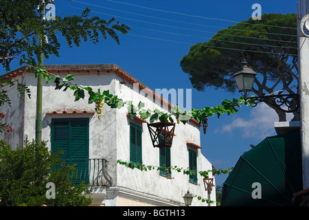 Capri Stockfoto