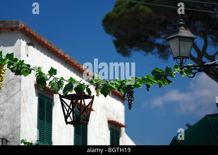 Capri Stockfoto