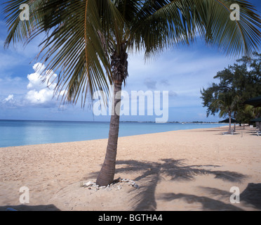 Seven Mile Beach, Grand Cayman, Cayman Islands, Karibik Stockfoto